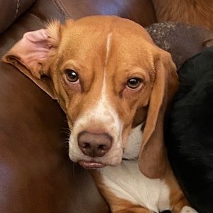 Meet your Posher, Briana